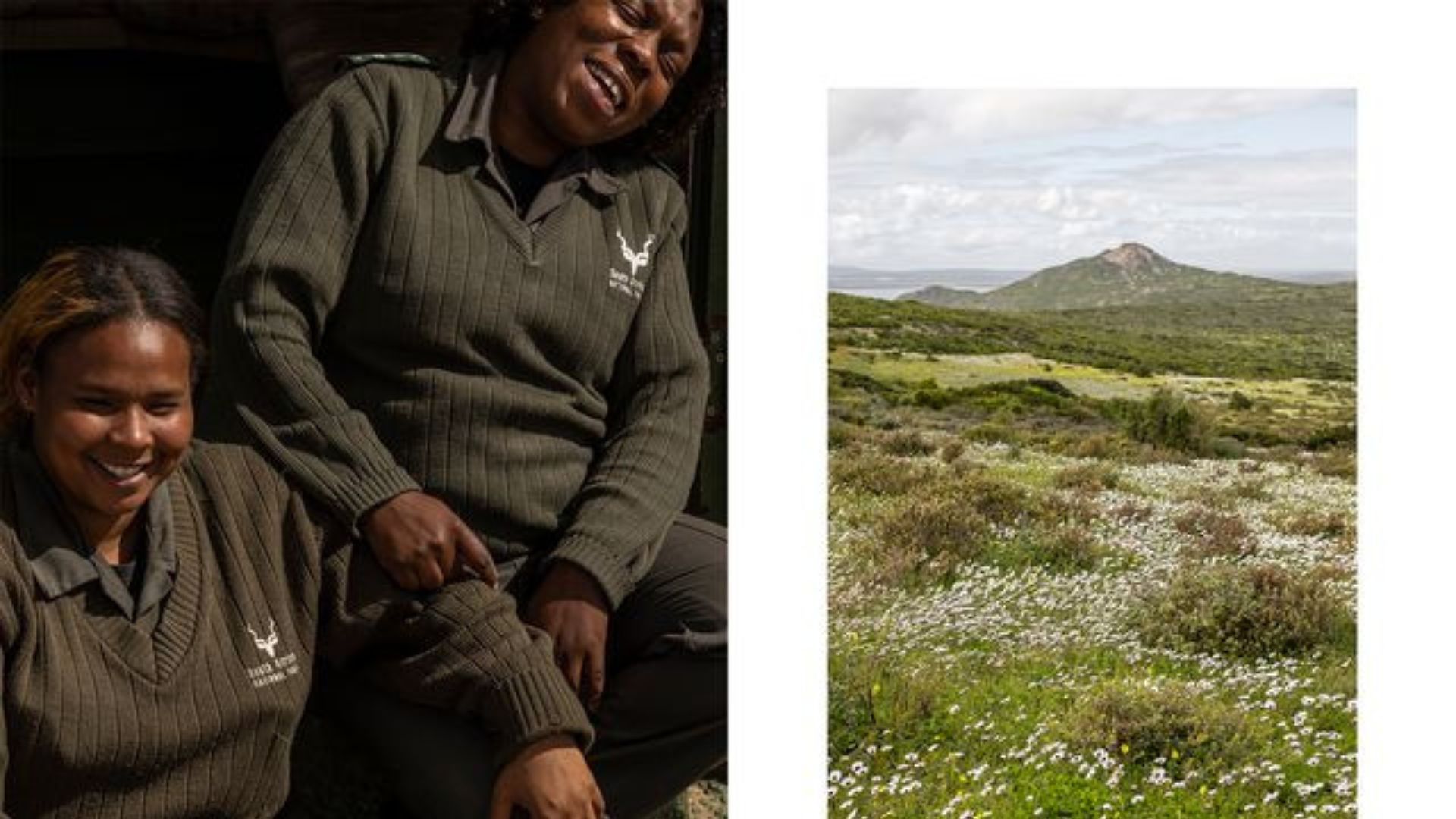 Flower Rangers The Super Bloom In South Africa Has Amazing Wildflower Views