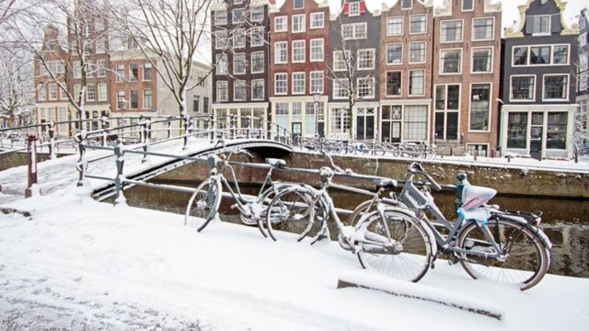 Best Times To Visit Amsterdam