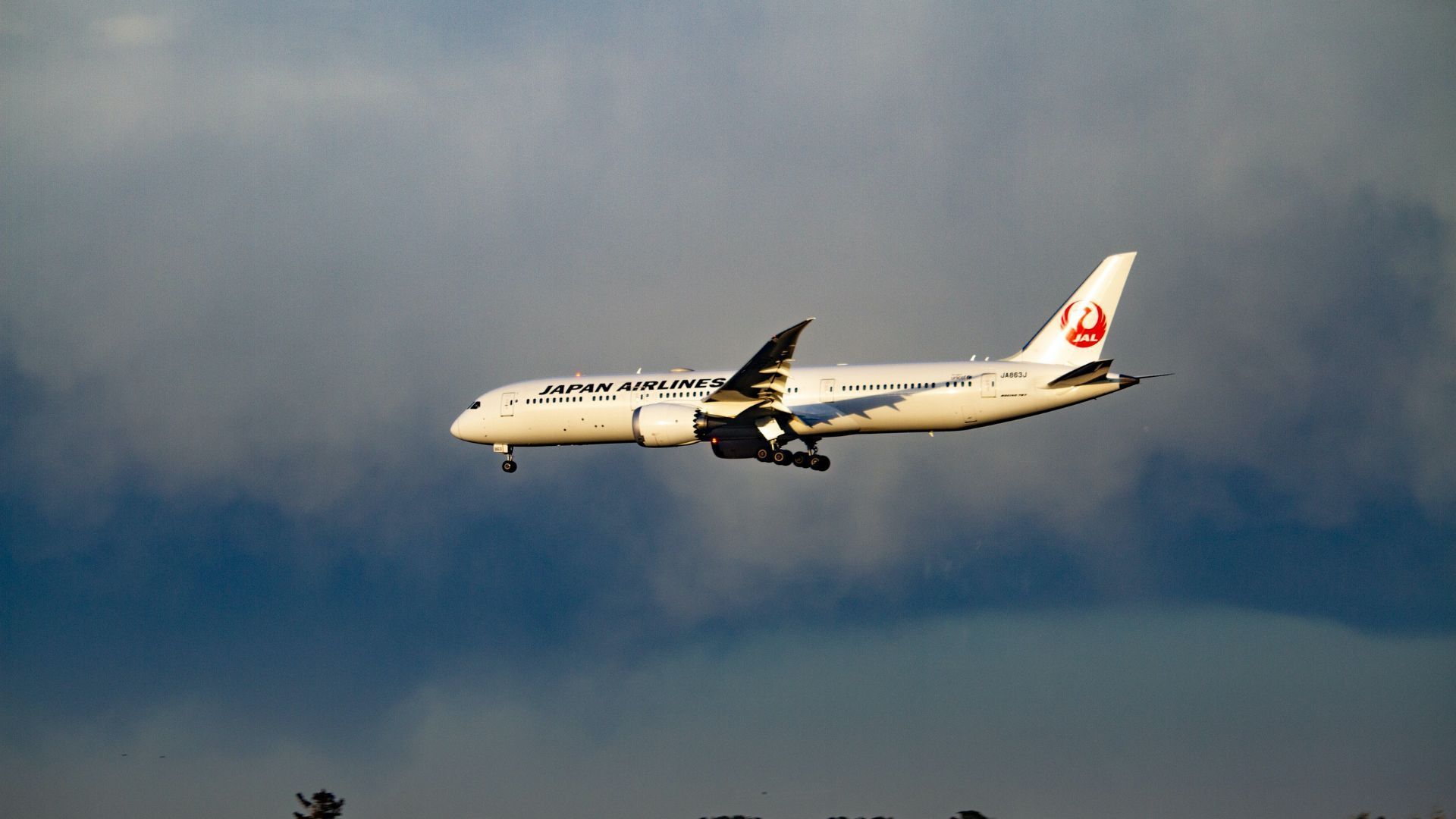 ジャルックス 1/200 787-8と787-9 JAPAN AIRLINES-eastgate.mk