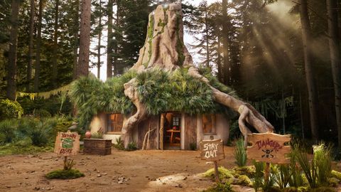 Donkey's Hosting: Airbnb's Shrek Swamp Stay Opens for Halloween!