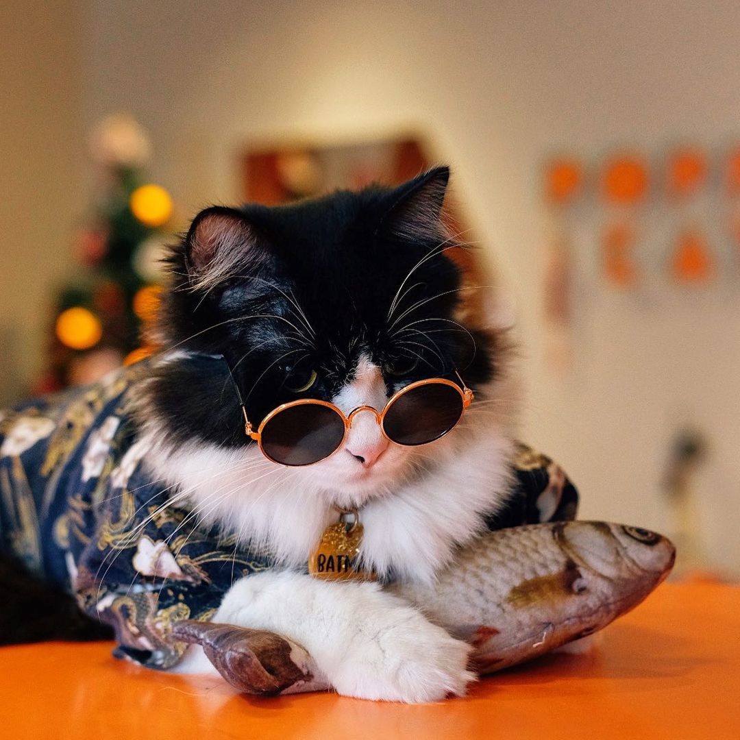 amalina-anuar-author-at-travel-and-leisure-asia-singapore