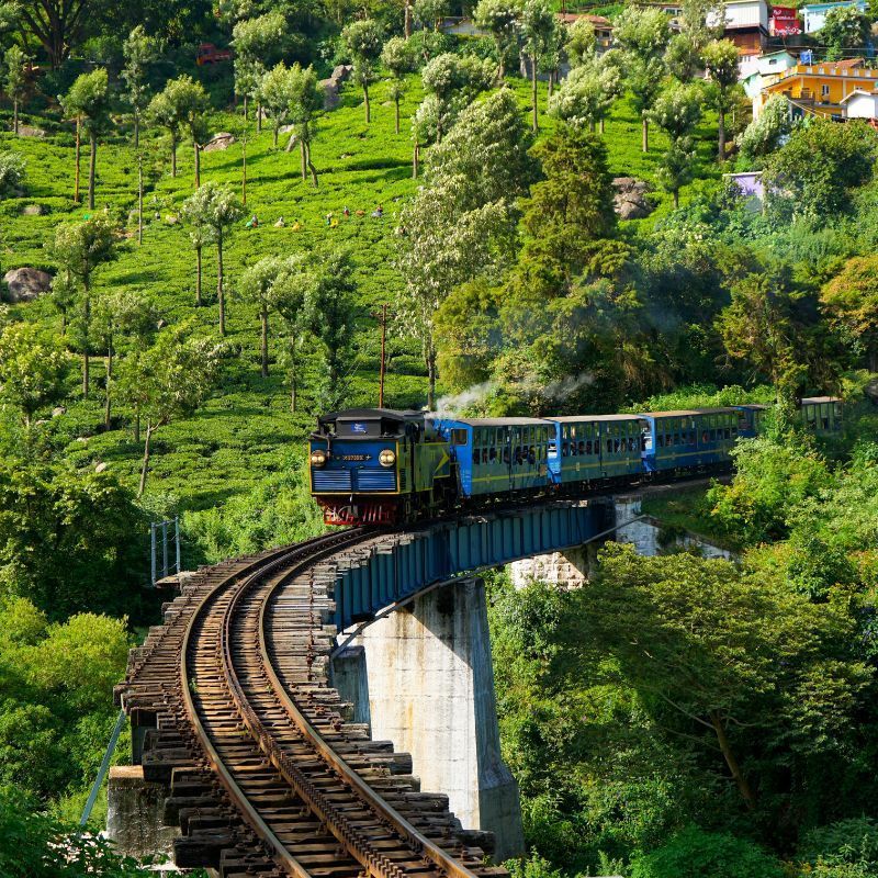 Exploring Ooty: Your Ultimate Guide To The Queen Of Hills In India