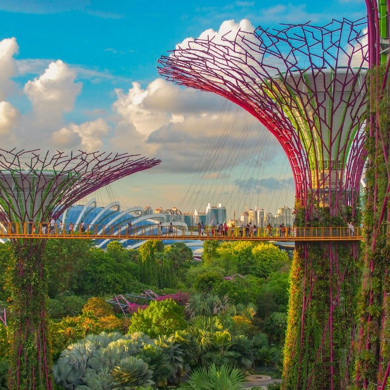 Urban Oasis: Uncovering Singapore’s Most Beautiful Places