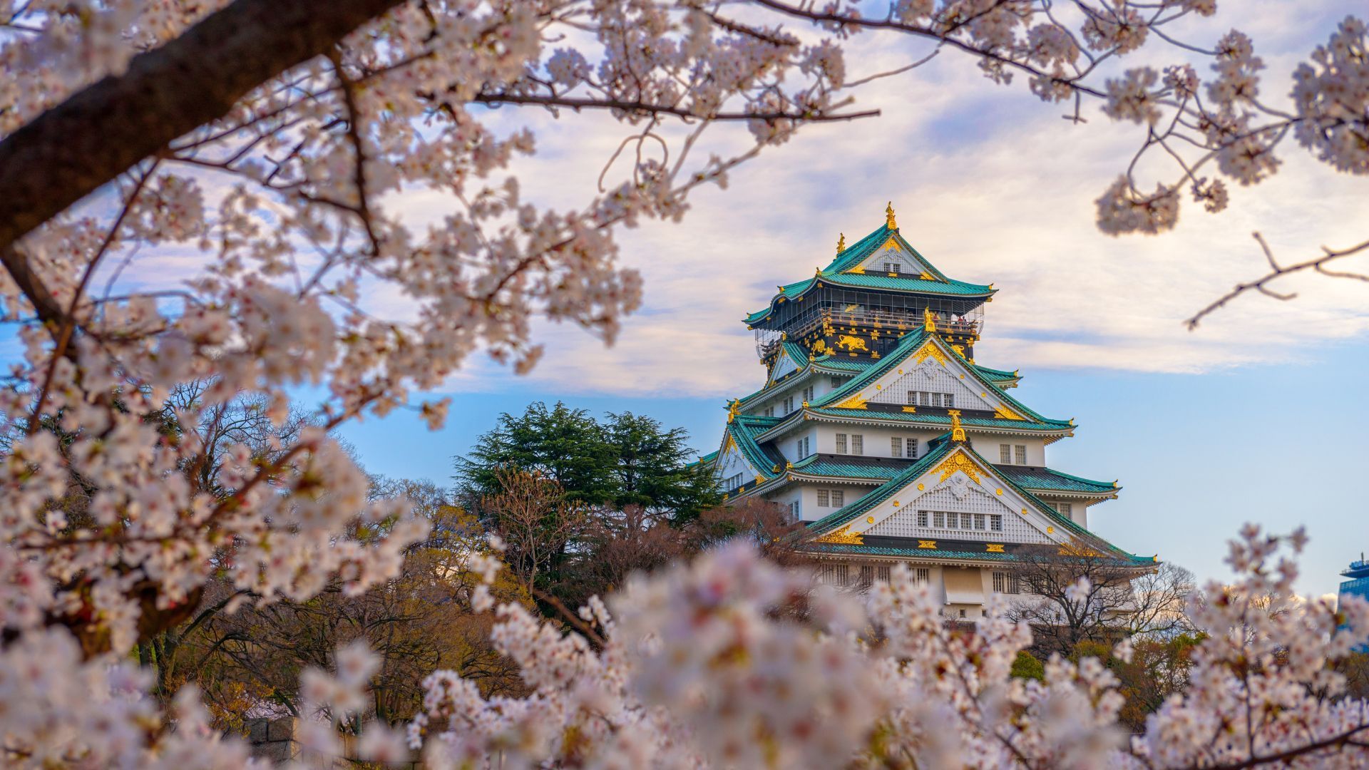 Osaka Castle