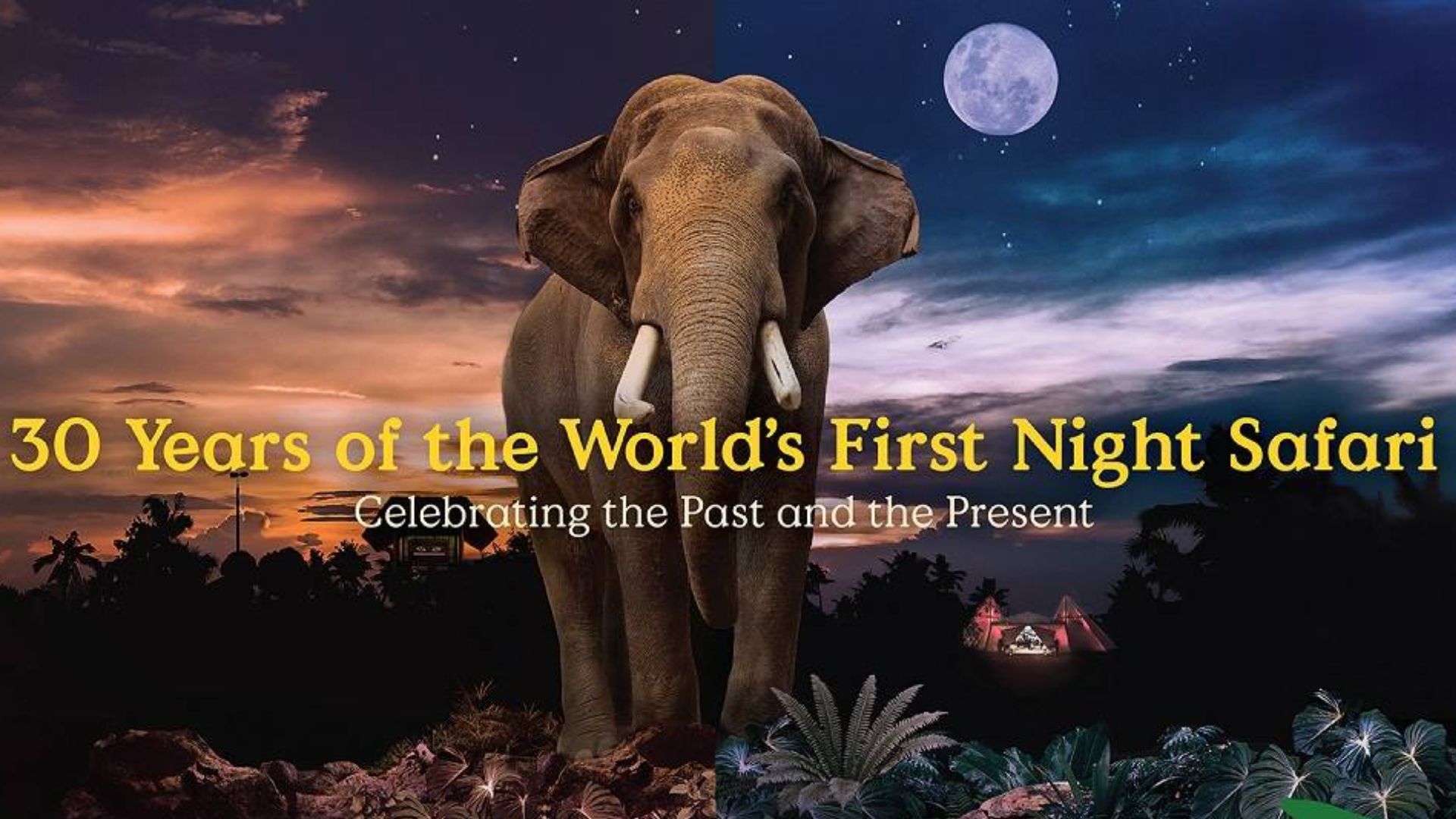 National Day 2024 To Night Safari Best Things To Do In Singapore