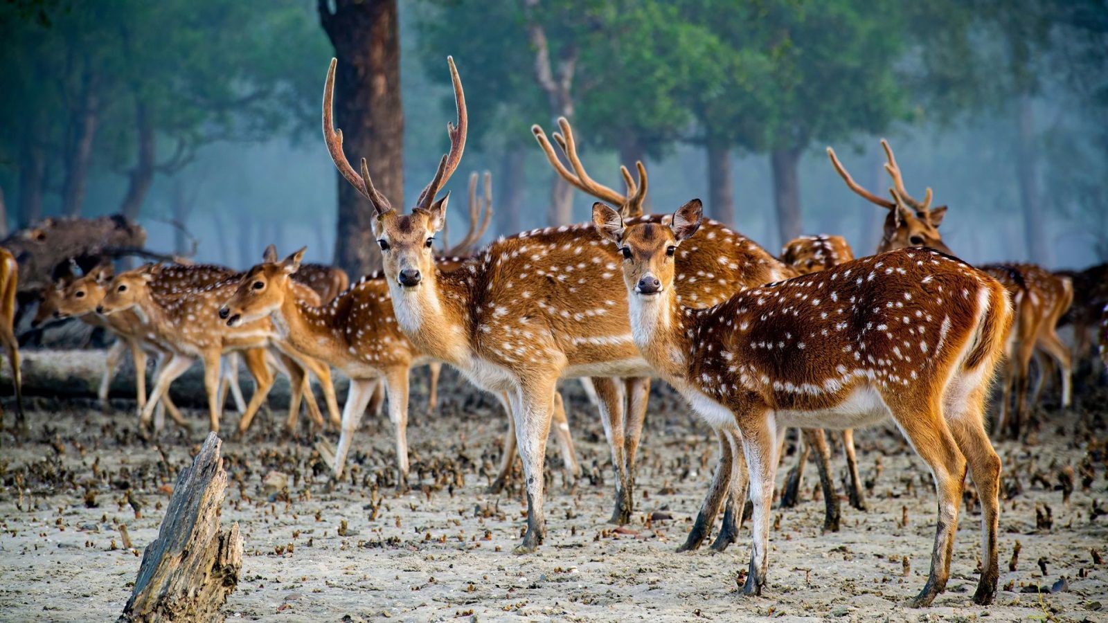 Places To Visit In India In November 2024 Top Tourist Destinations