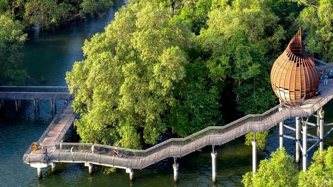 Explore These Scenic Trails To Hike Your Way Through Singapore's Spring