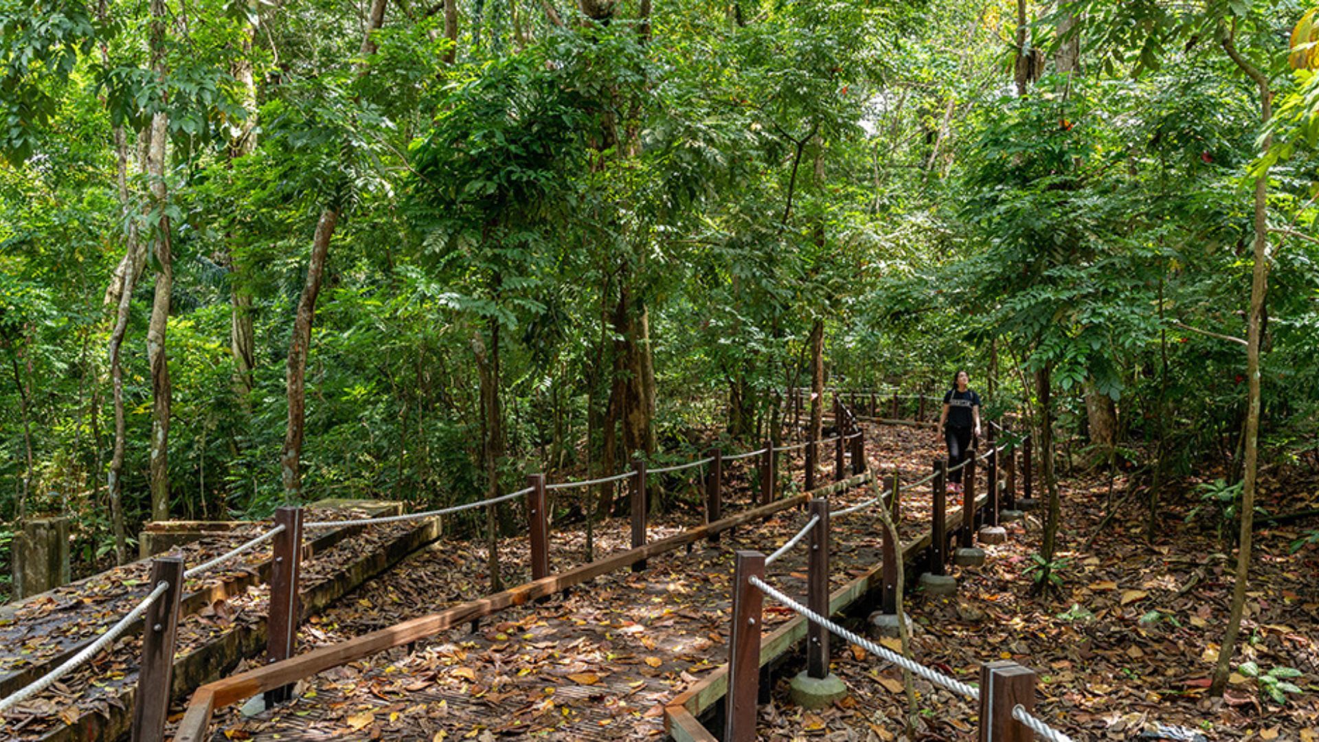 Thomson Nature Park