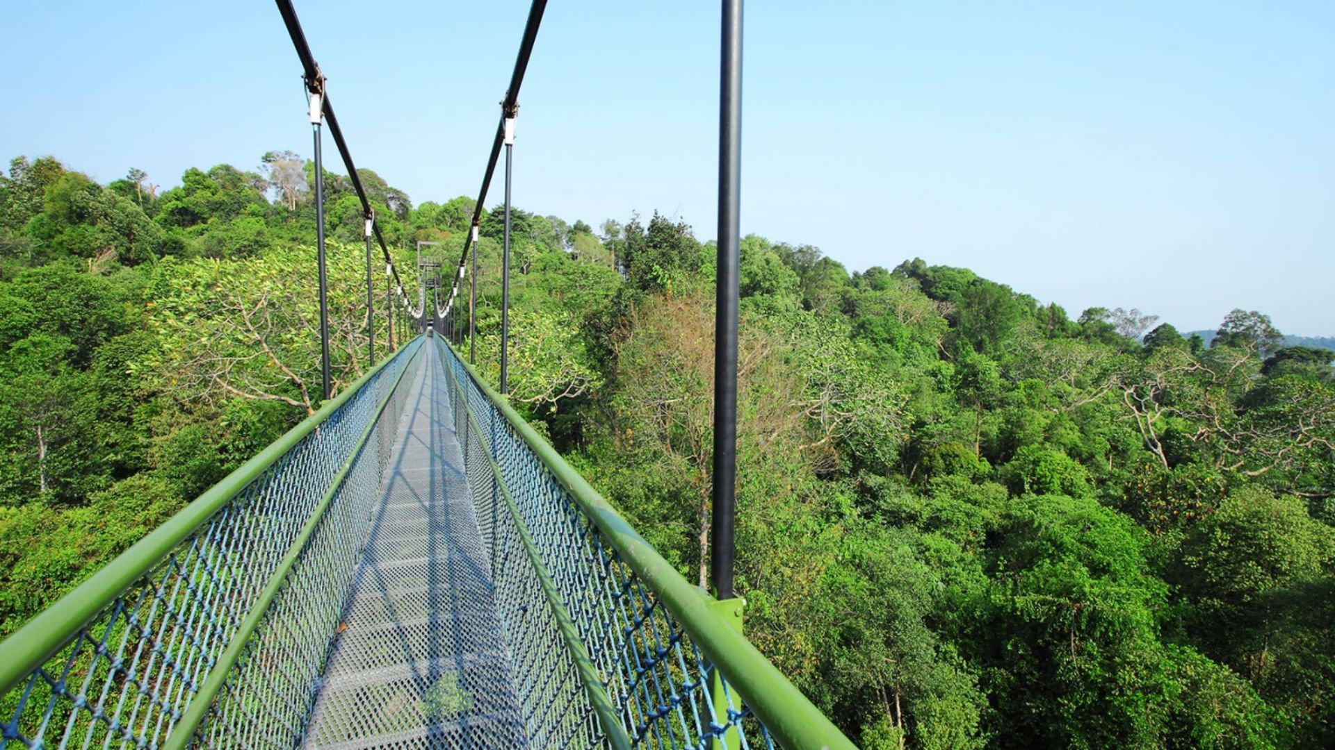 MacRitchie Reservoir