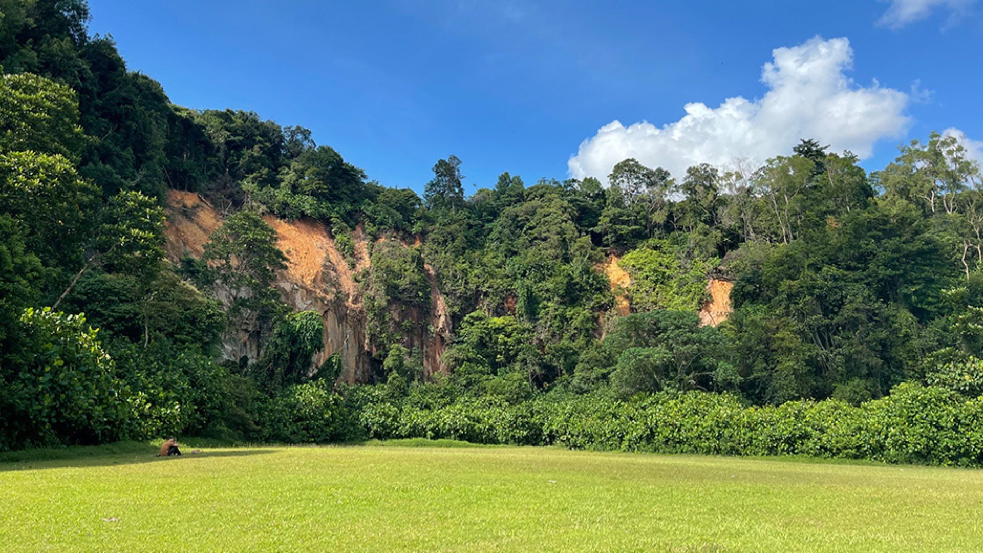 spring hikes in Singapore