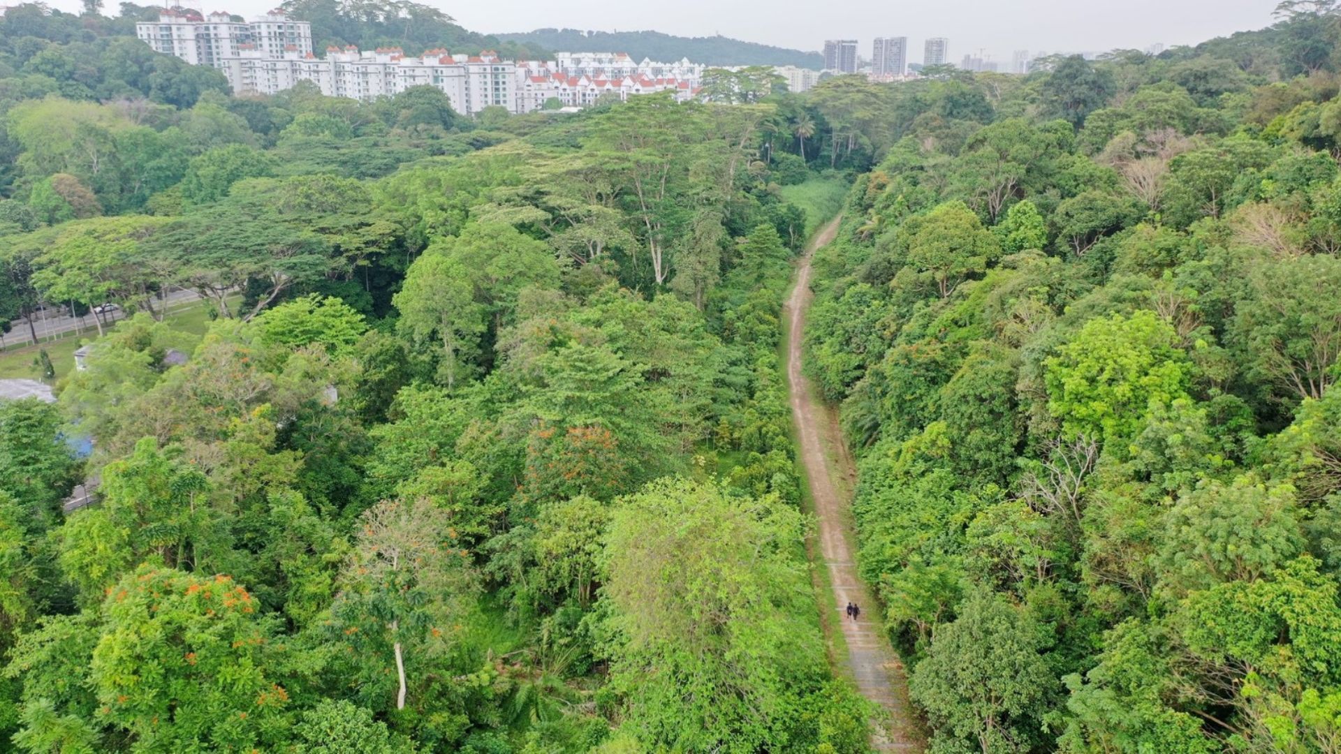 spring hikes in Singapore