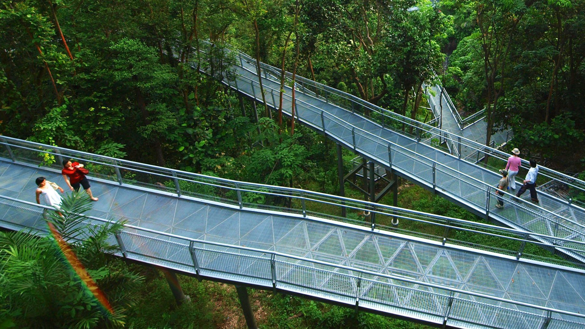 spring hikes in Singapore