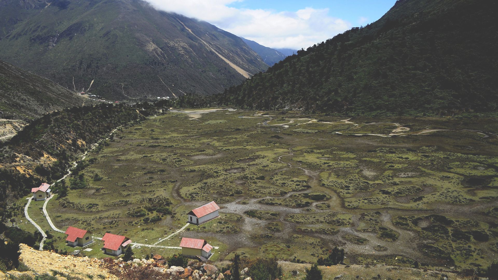 Chopta Valley