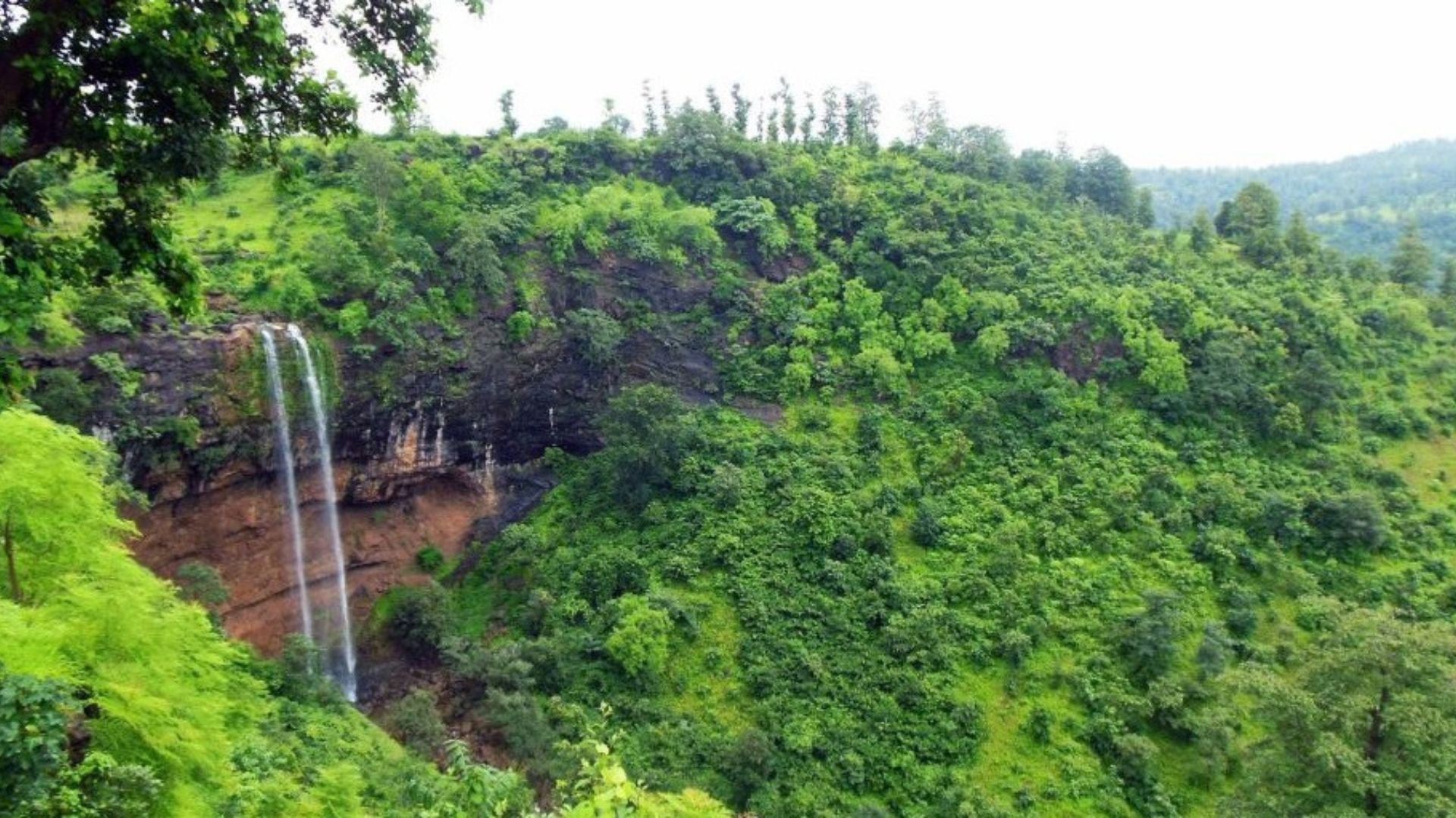 Wilson Hills