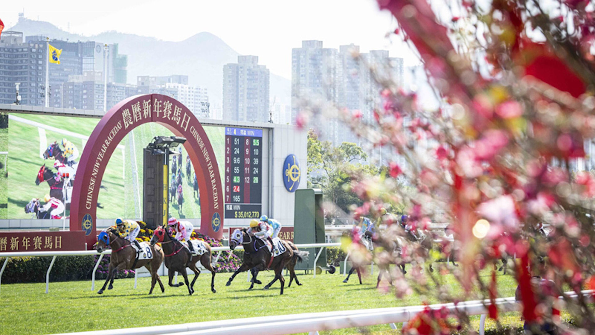 chinese new year events hong kong 2026