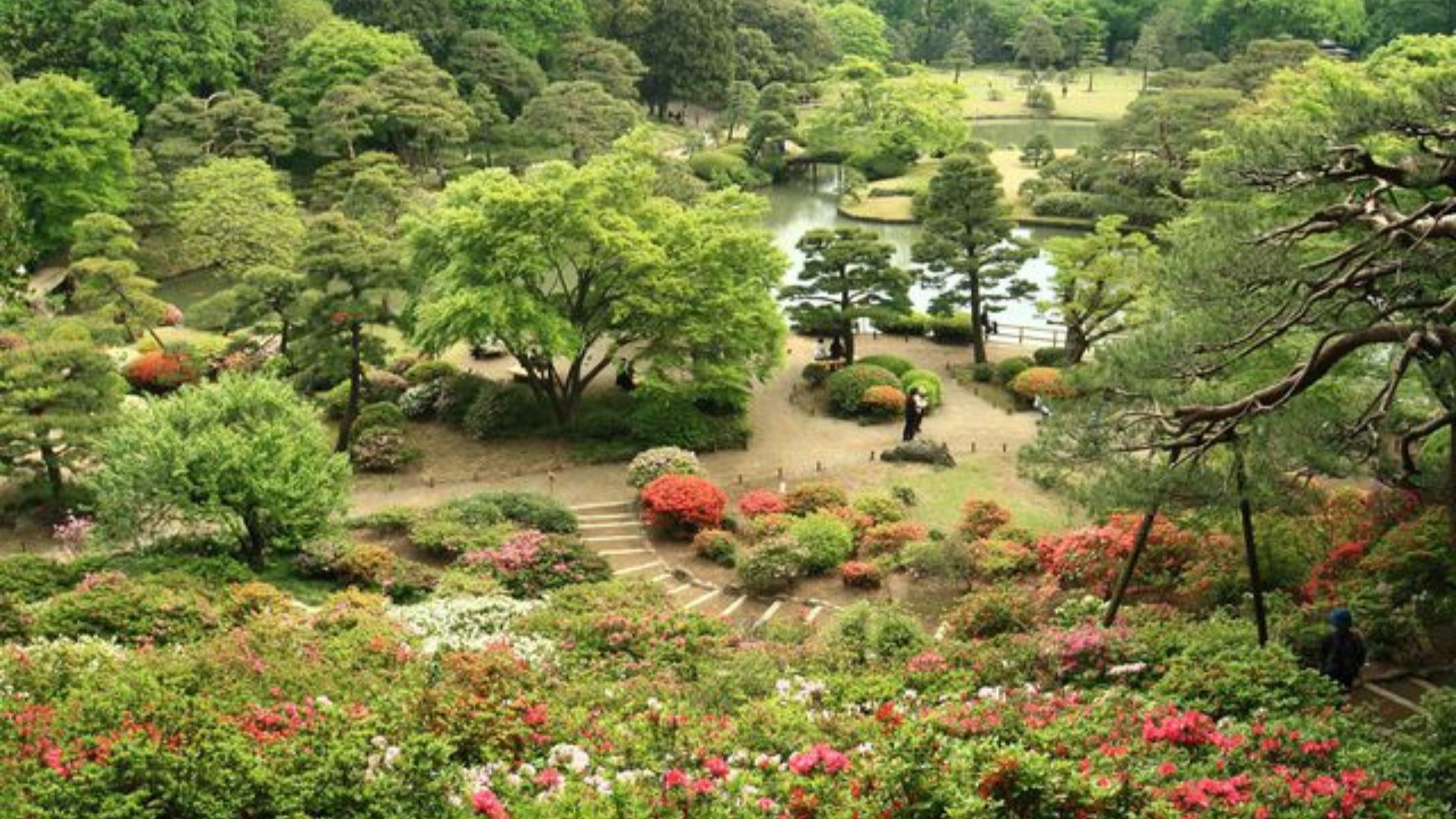 Japan itinerary