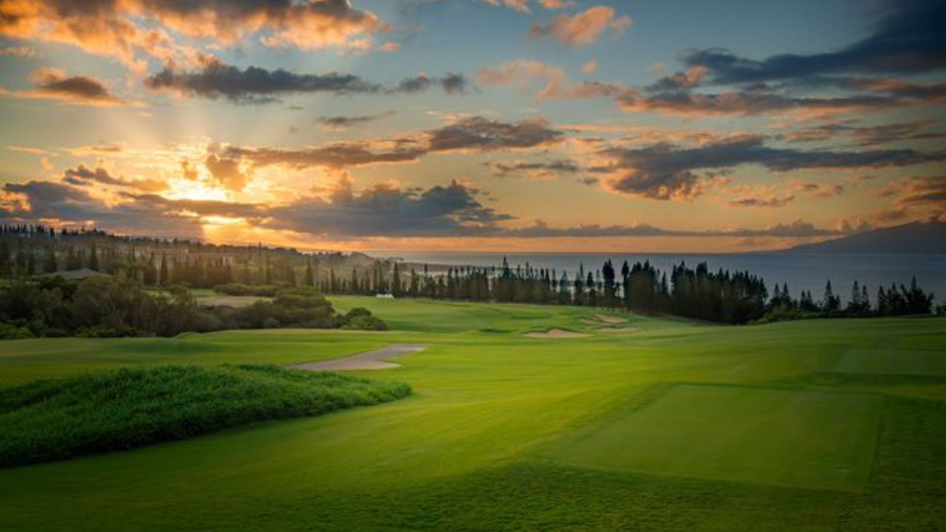 Plantation Course