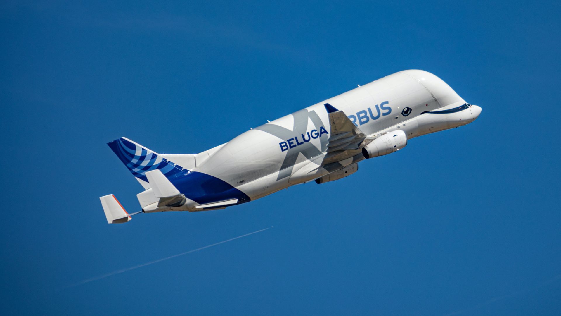 Some Interesting Facts About The Huge Whale-Shaped Airbus Beluga