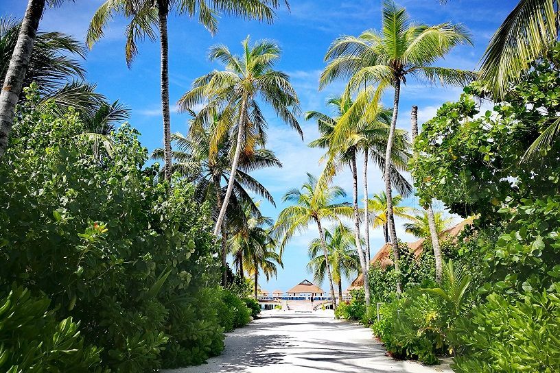 Best Time To Visit Maldive
