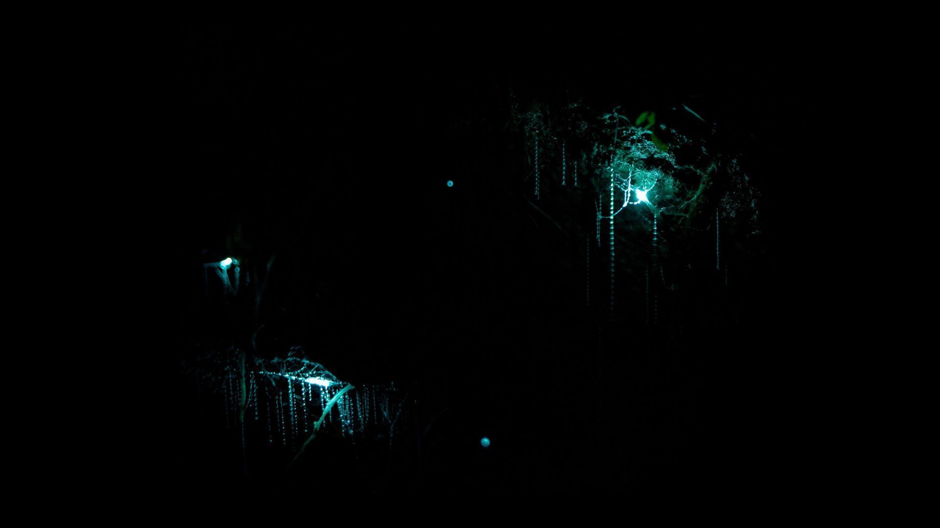 bioluminescent places