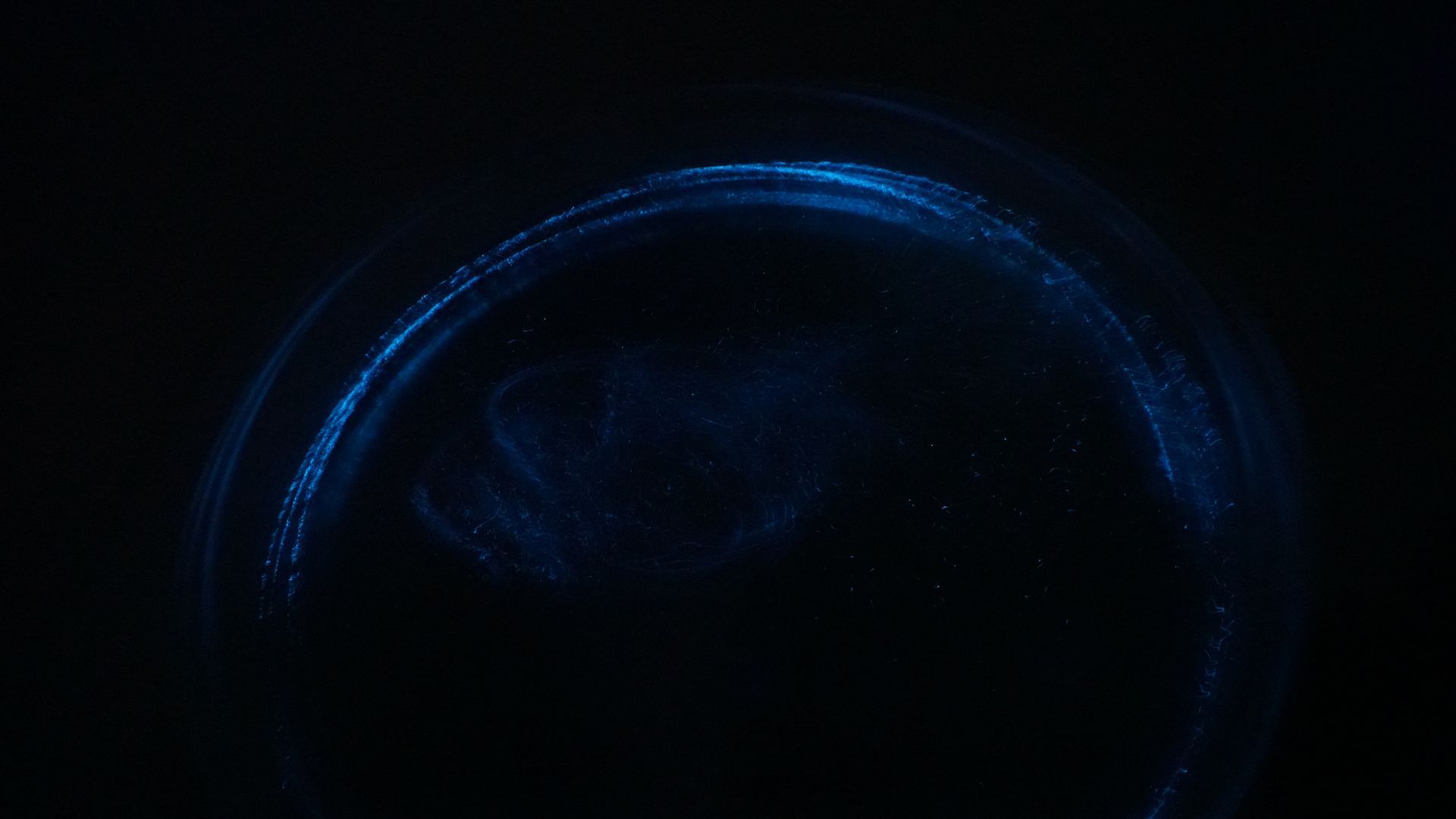 bioluminescent
