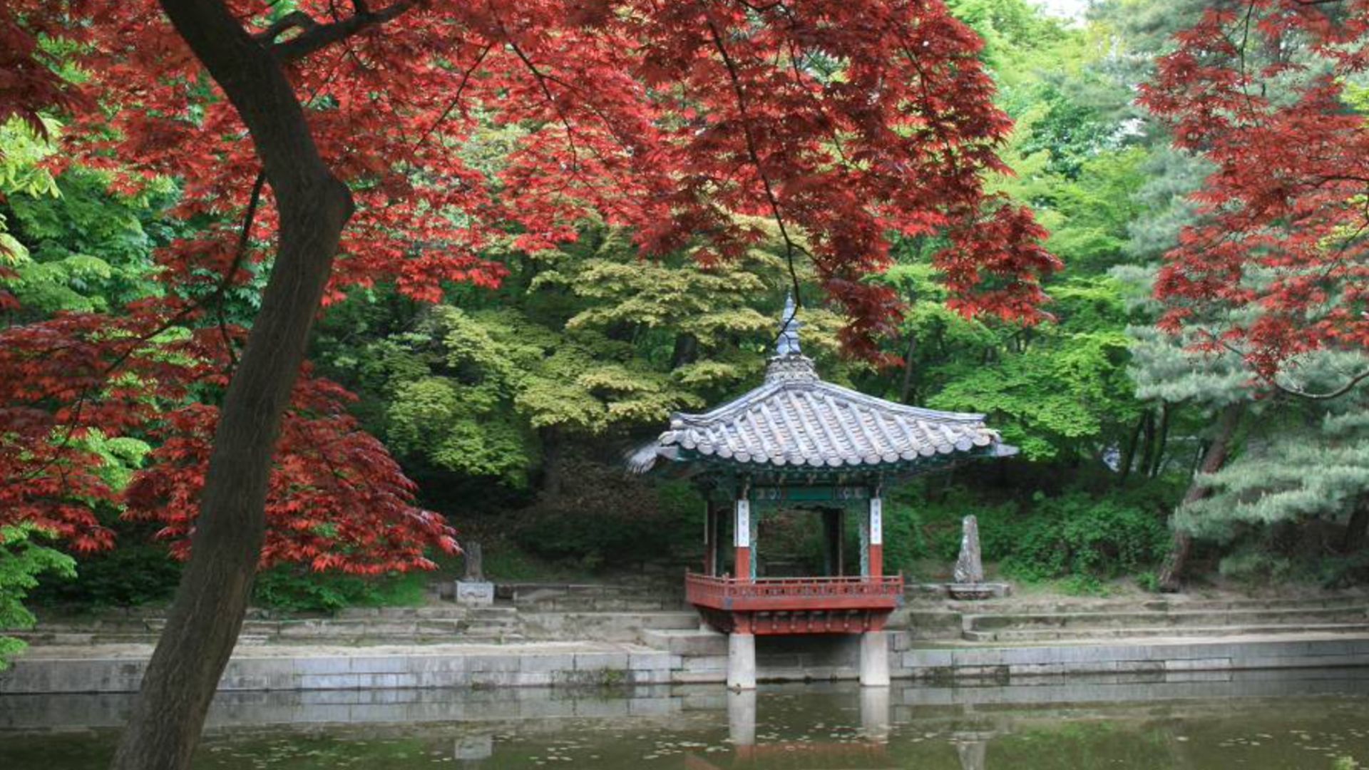 things to do in South korea