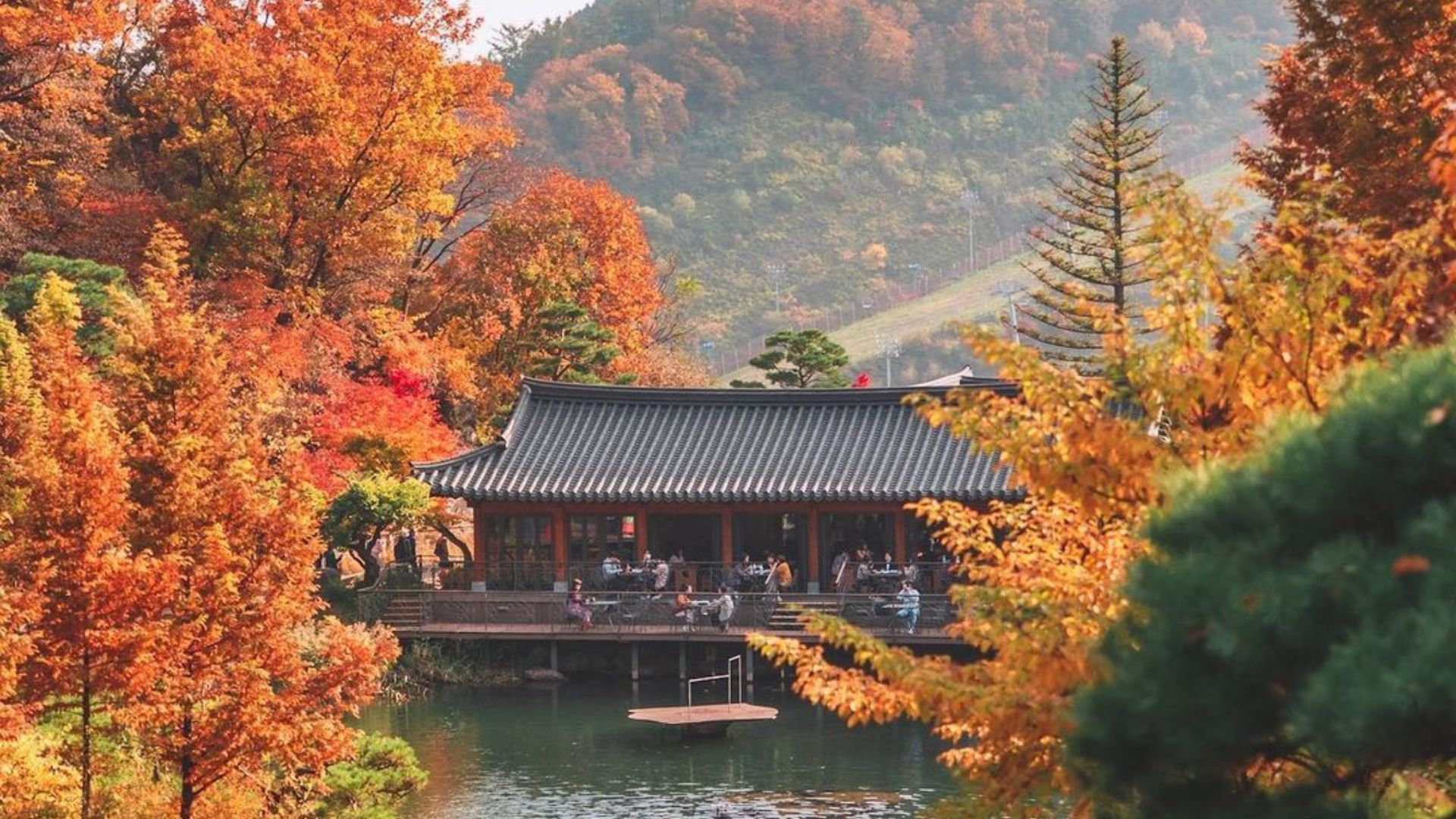 things to do in South korea