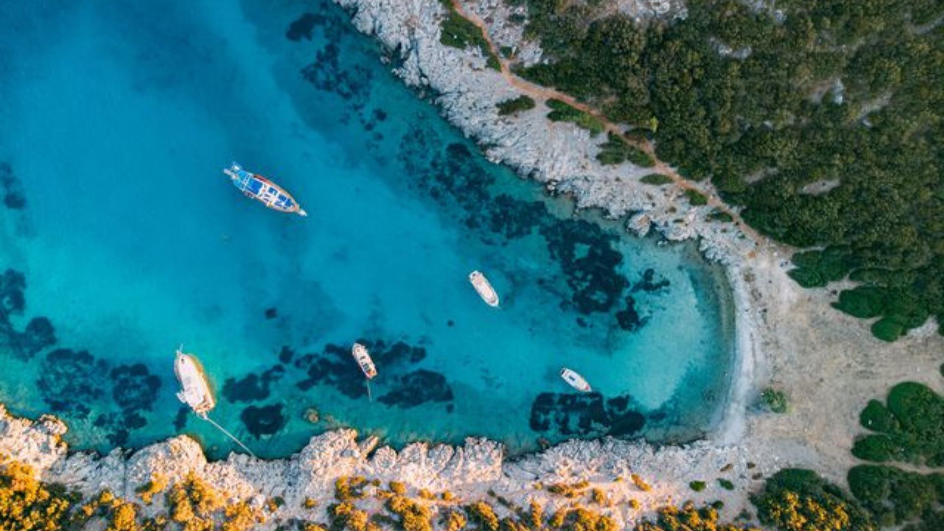 Turkey