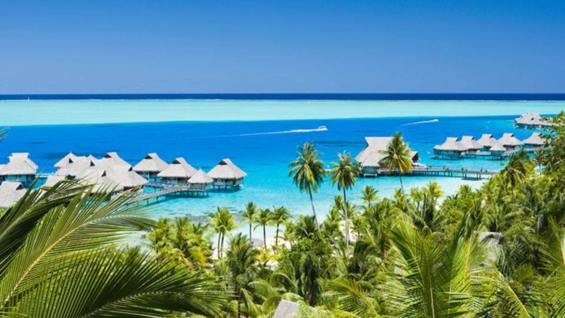 Luxury coastal vacations
