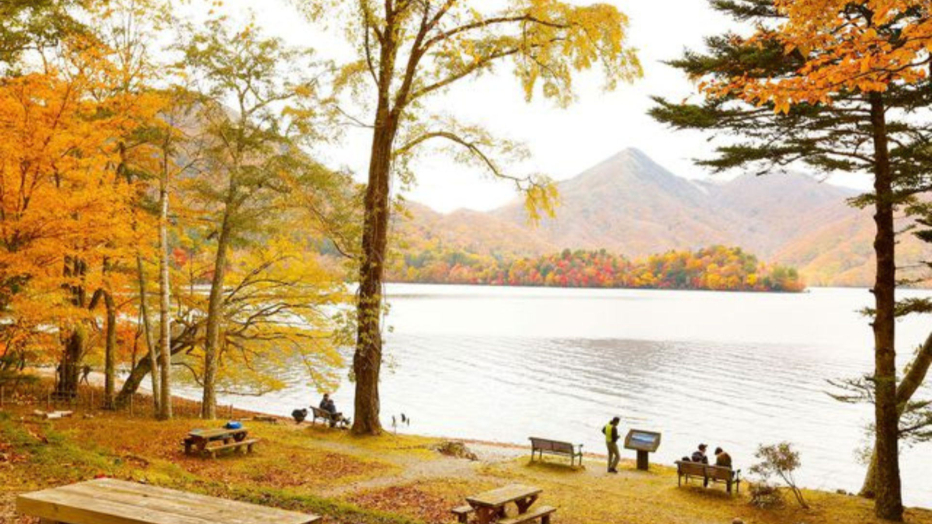 Nikko