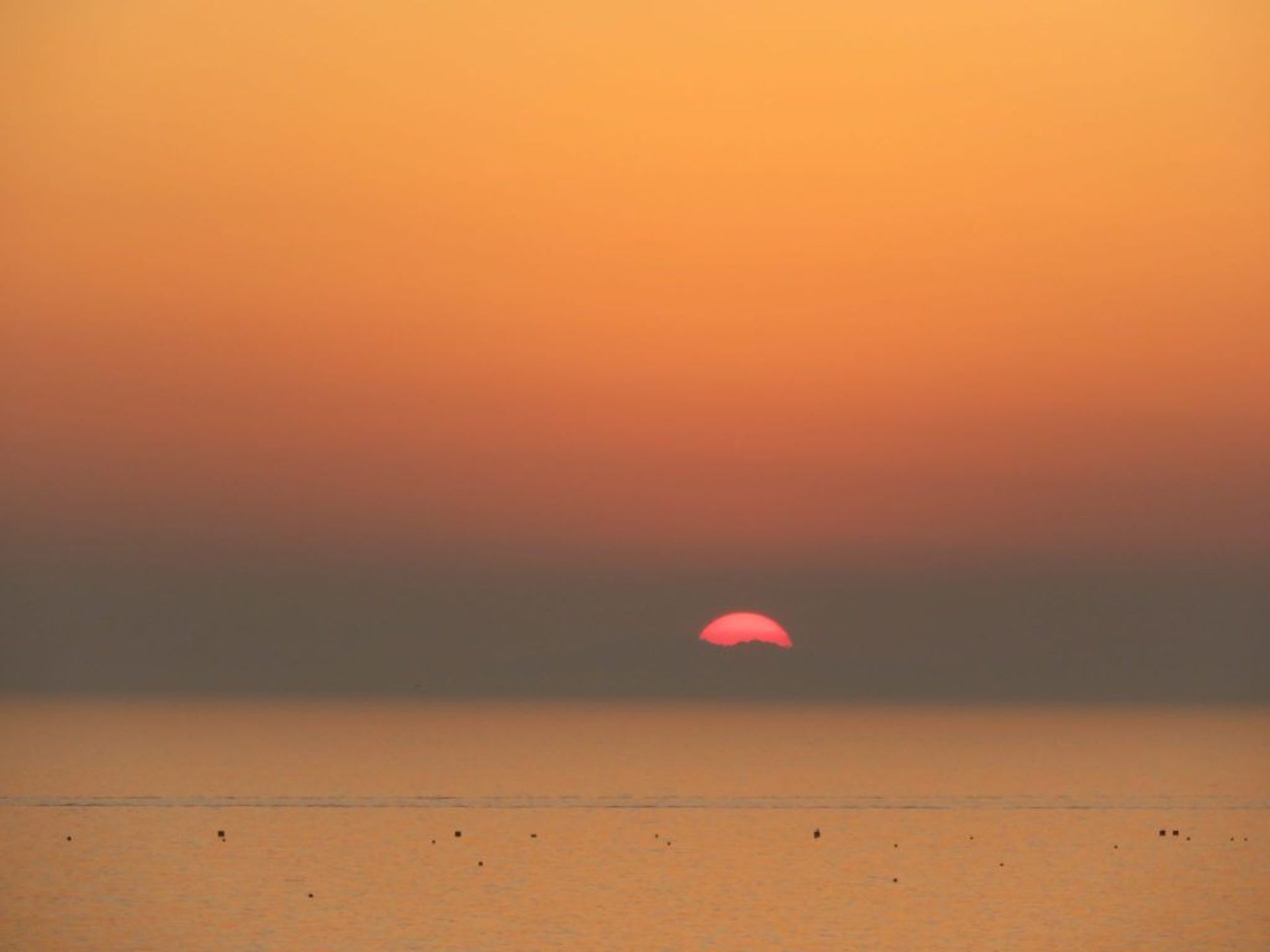 Why You Should Plan Your Japan Travels Around Its 72 Microseasons