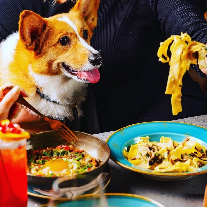 Lifestyle Asia, Author at Travel and Leisure Asia Hong Kong