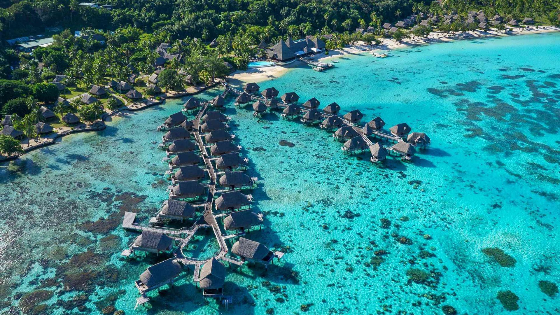 These Gorgeous Overwater Bungalows Have Glass Floors