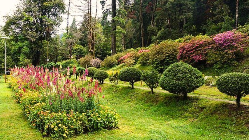 Lloyd’s Botanical Garden, India