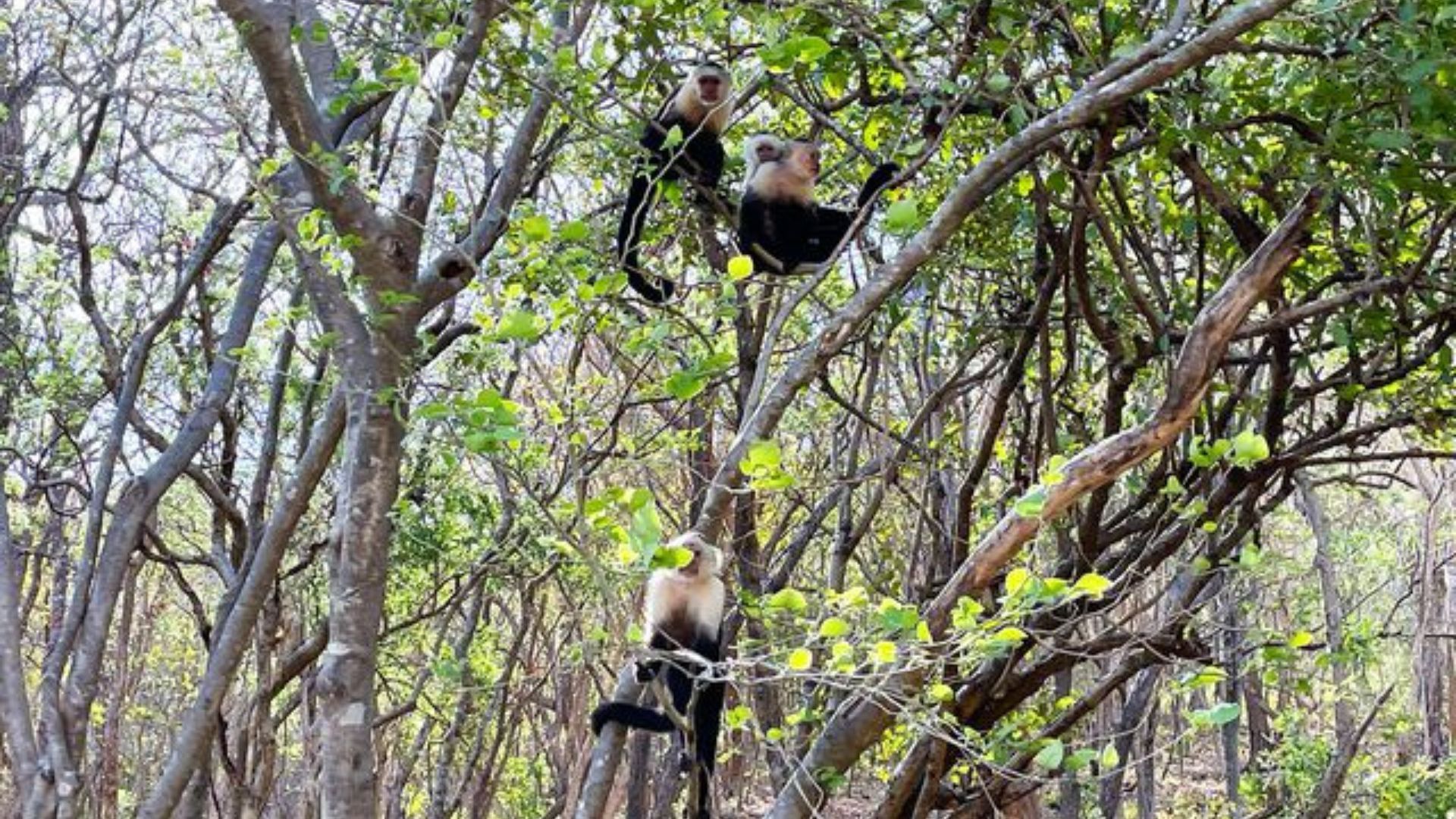 Things to do in Costa Rica