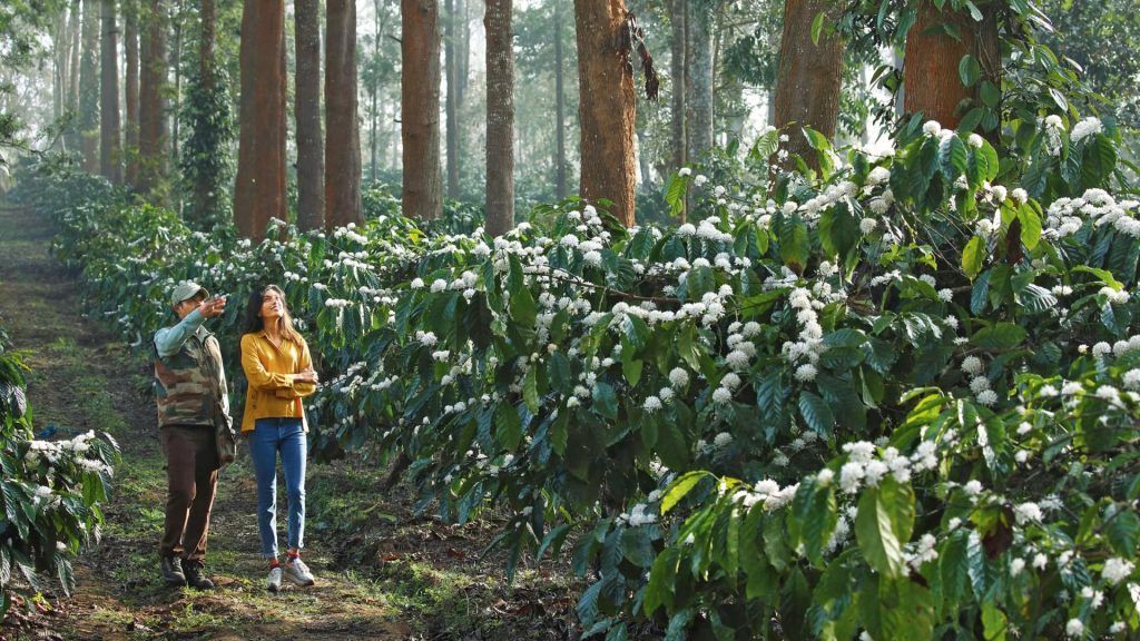 Sustainable Hotels