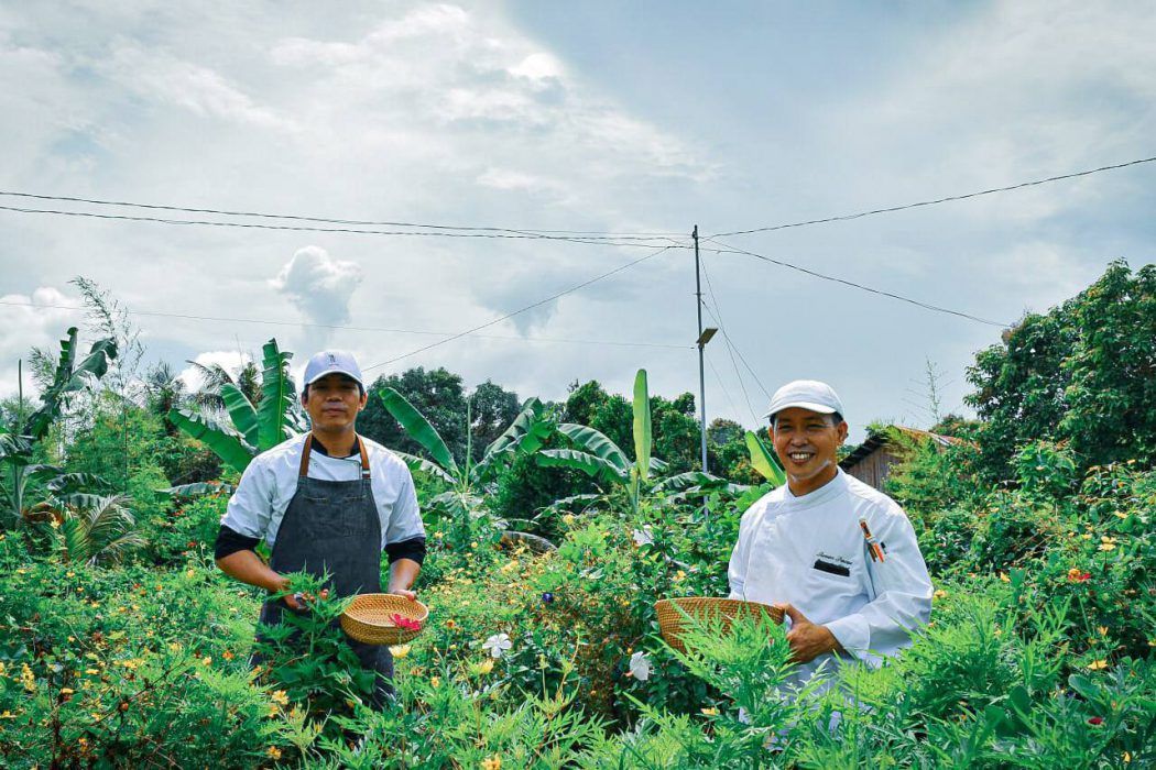 Farm to Fork Resort: South Palms Resort Panglao, Philippines