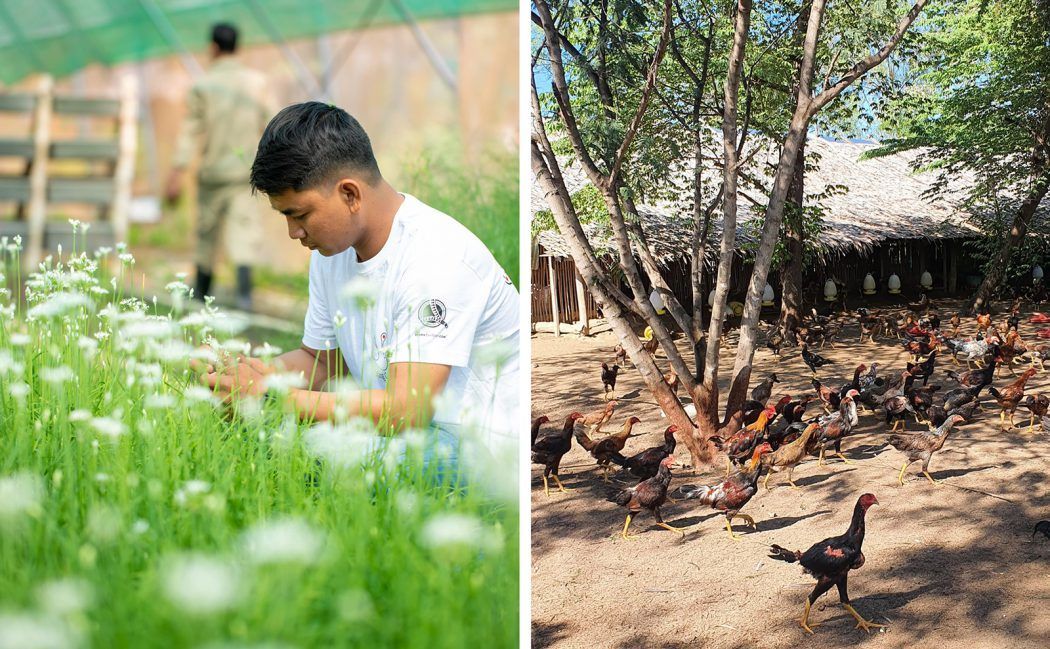 Farm to Fork Resort: Farmhouse Smiling Gecko, Cambodia