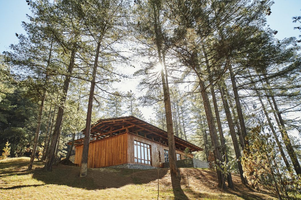 Biophilic Hotel