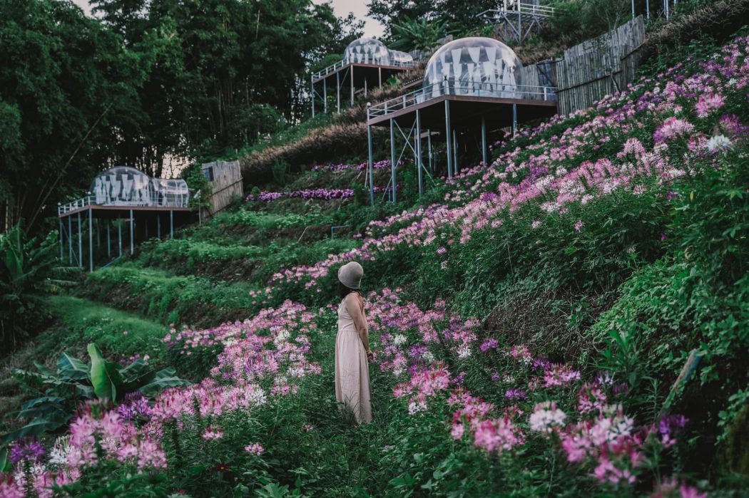 Chiang Mai: Bubblesky Glamping Chiangmai
