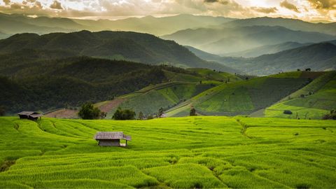 Misty Mountain Hop—Secret Thailand, Chiang Mai
