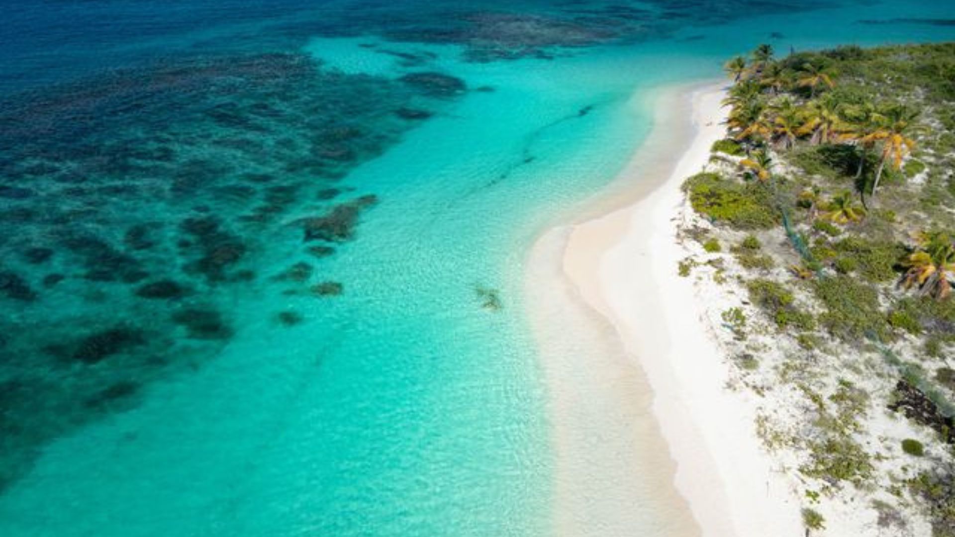 Things to do in Anguilla