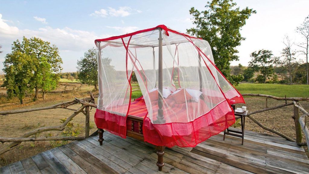 Jamtara Wilderness Camp, Madhya Pradesh