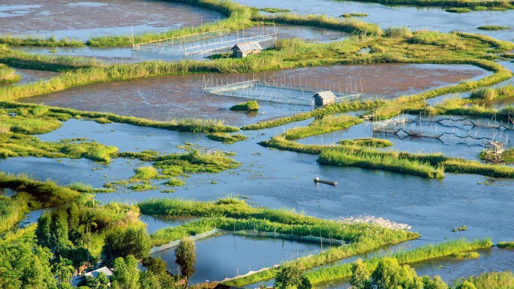 Biodiversity of Manipur