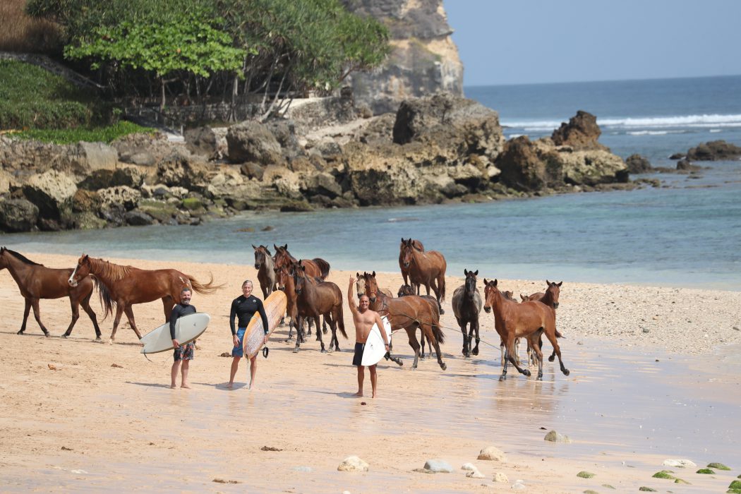 nihi sumba horses