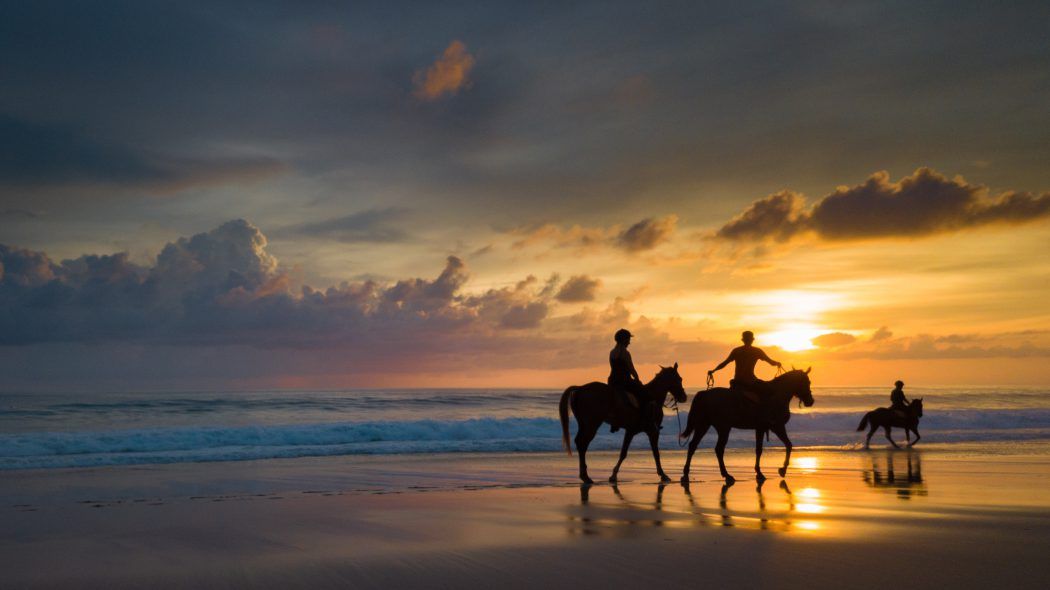 nihi sumba horses