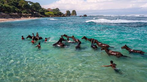 This Indonesian Resort Has a Horse Retirement Plan