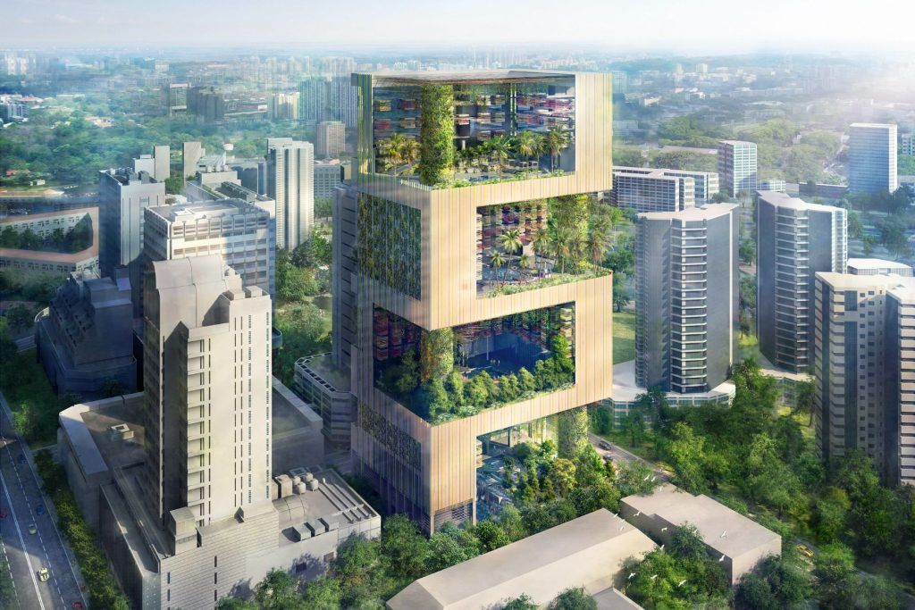Pan Pacific Orchard