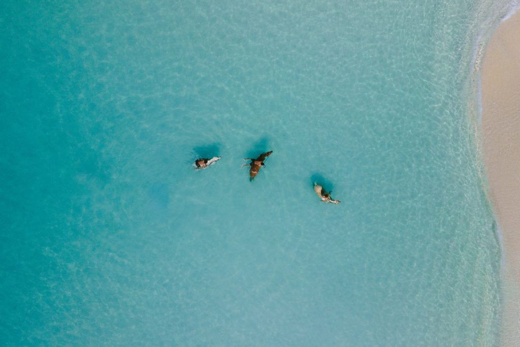 It's Like You Can't Build a Hotel on This Island Without Being Good People