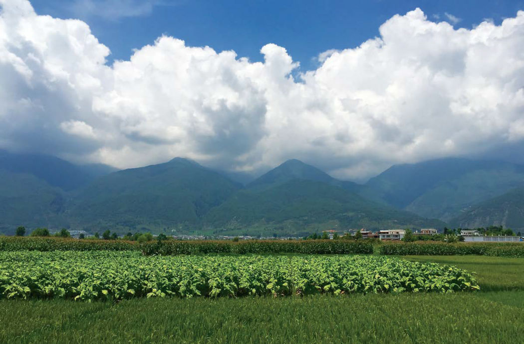 Gourmand's Guide to Yunnan